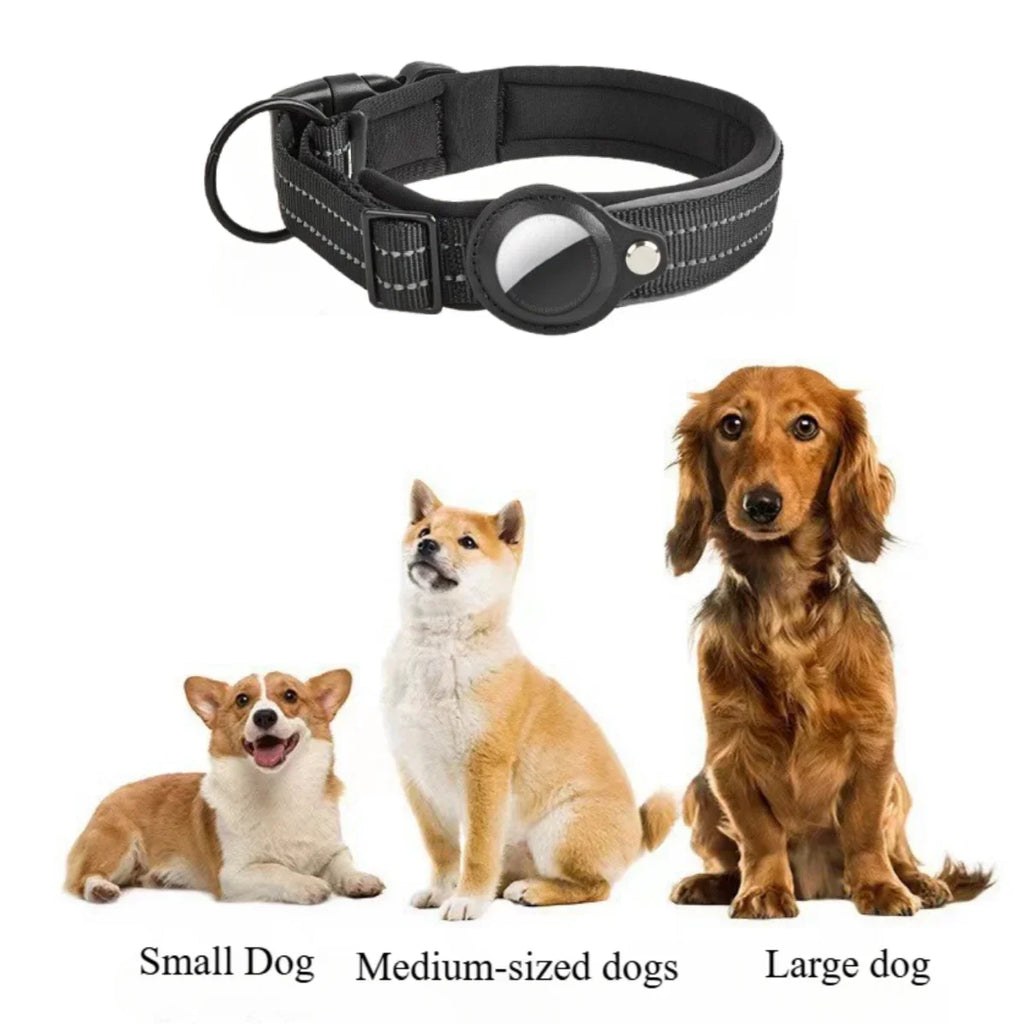 Collier Chien AirTag Réfléchissant – Rembourré, Réglable, Nylon