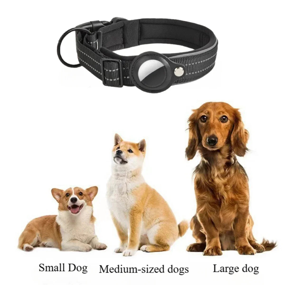Collier Chien AirTag Réfléchissant – Rembourré, Réglable, Nylon