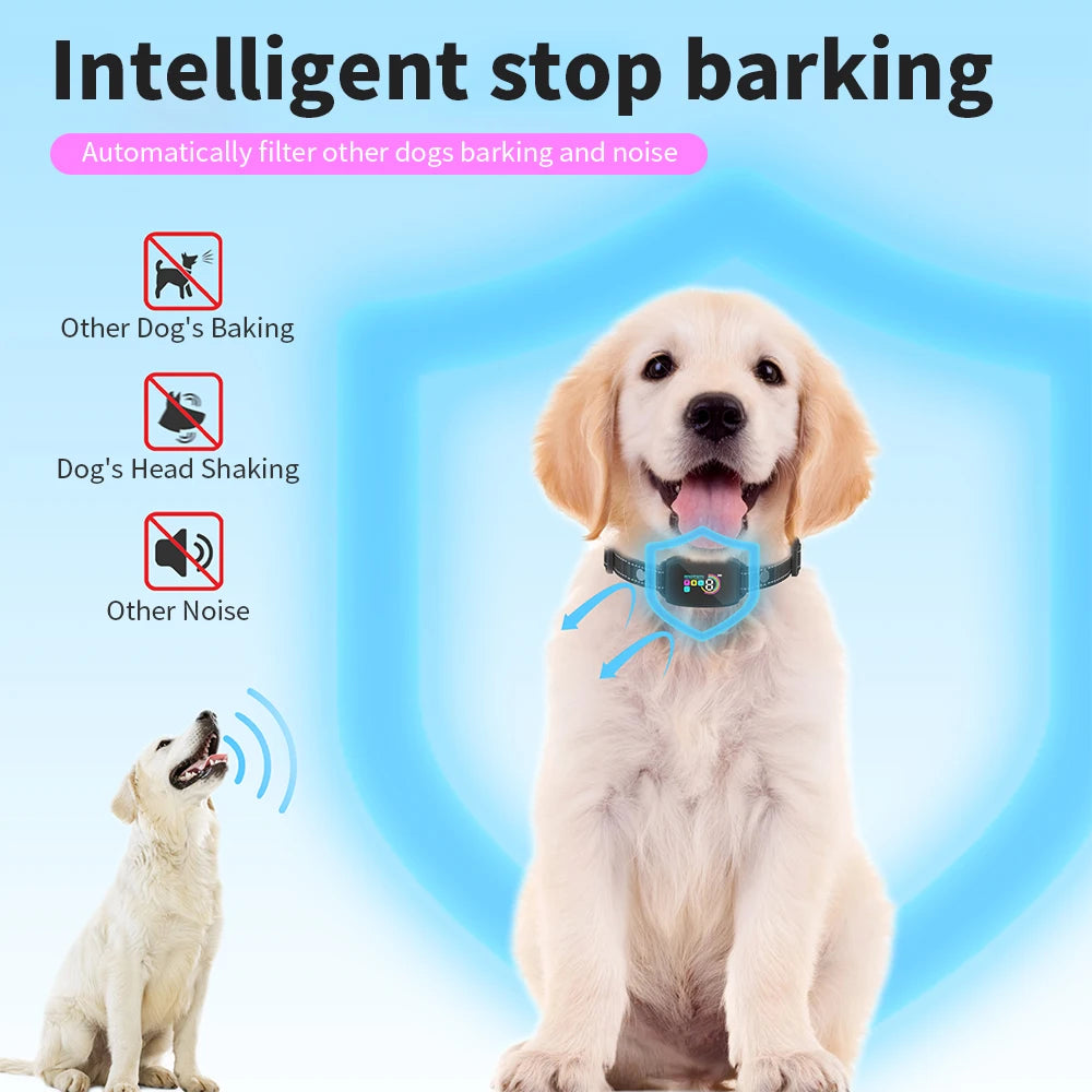 Collier Anti-Aboiement Automatique Rechargeable – IP67, 8 Niveaux, Choc & Vibration